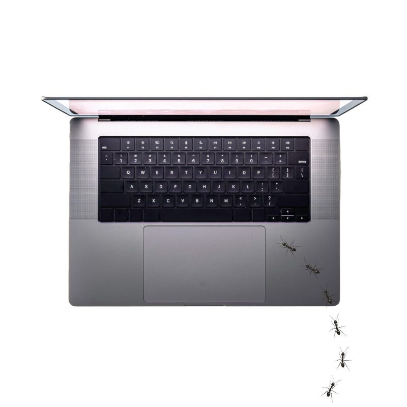 มดเข้า MacBook