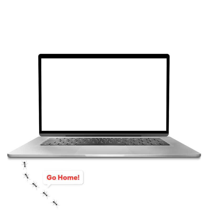 มดเข้า MacBook