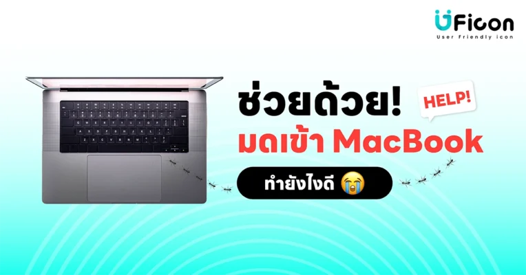 มดเข้า MacBook