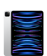 iPad Pro รุ่น 11 นิ้ว (รุ่นที่ 4)