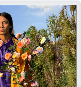 ดูและปรับแก้งานศิลปะบนจอภาพ Retina 4.5K ที่สวยสดงดงาม