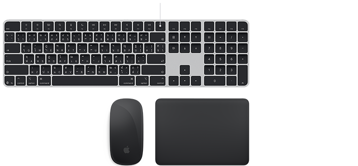 อุปกรณ์เสริมตระกูล Magic: Magic Keyboard พร้อม Touch ID, Magic Mouse และ Magic Trackpad